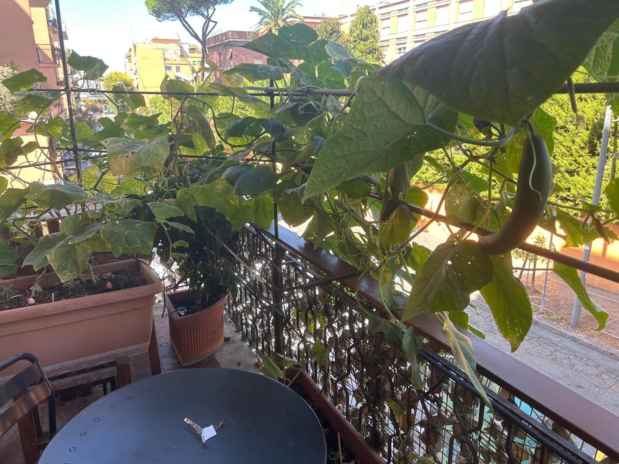 La Fontana Di Carlotta Bed & Breakfast Roma Ngoại thất bức ảnh