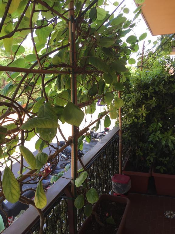 La Fontana Di Carlotta Bed & Breakfast Roma Ngoại thất bức ảnh